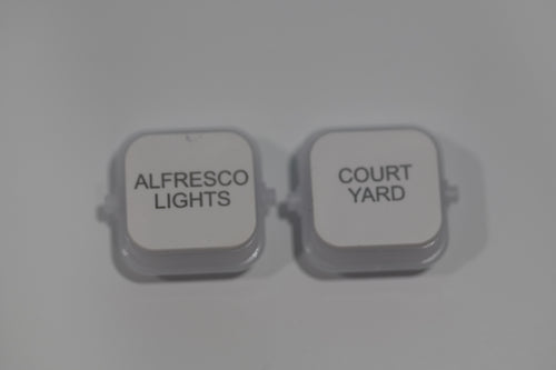 Engraved Switchmech